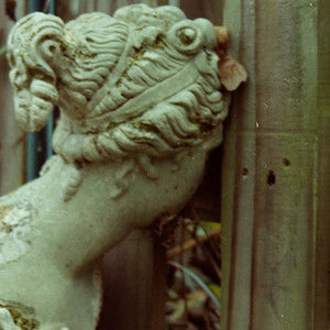 Meet your Posher, Pepper